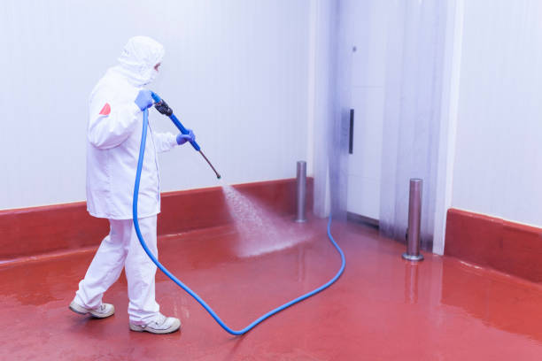 Best Paint Preparation  in Spencerport, NY